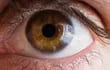 ojo retina pestañas