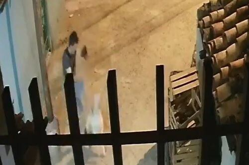 Viralizan vídeo de una terrible agresión a un perro.