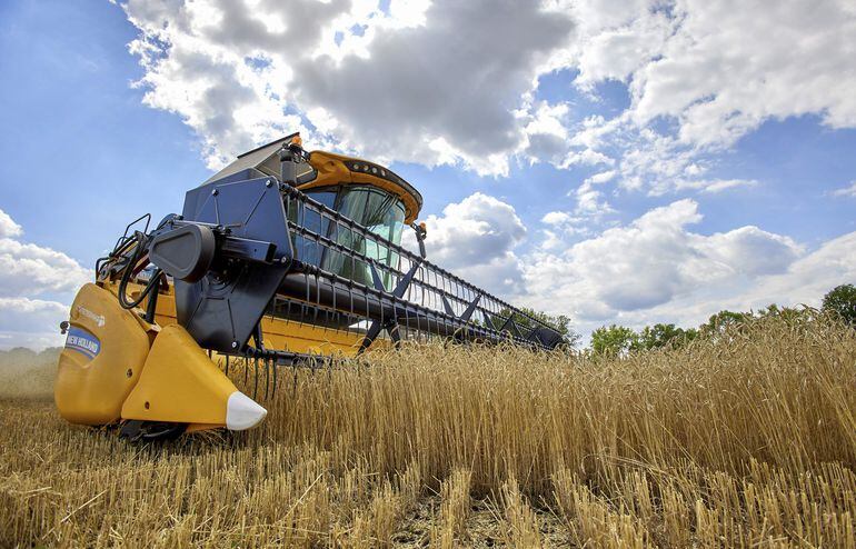 Una cosechadora recolecta trigo en un campo cerca de Járkov, Ucrania. Ucrania comenzó a exportar grano tras un acuerdo con Rusia y la mediación de Turquía. (EFE)