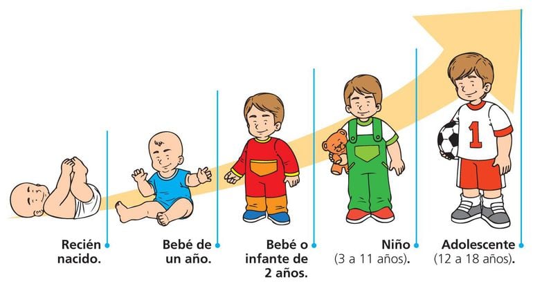 Crecimiento y desarrollo - Escolar - ABC Color