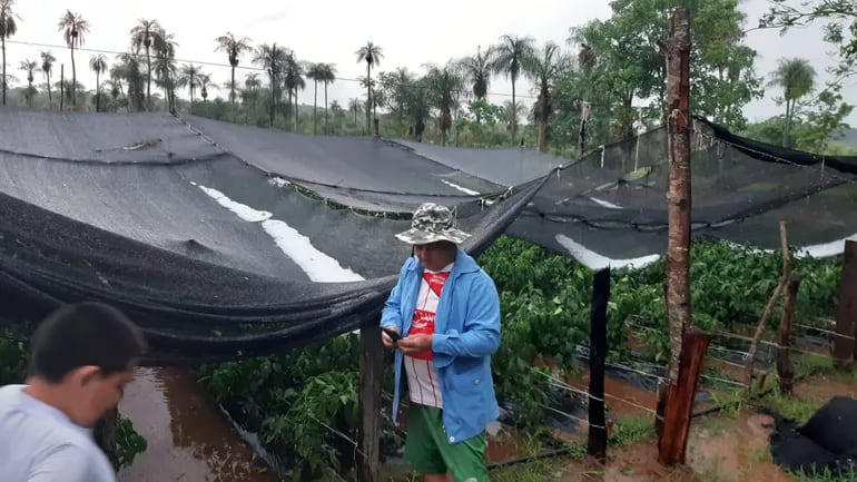 Granizada afectó a viviendas y cultivos en Carapeguá