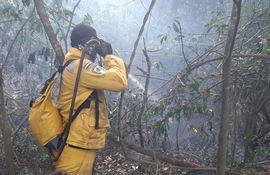Un bombero combate un foco de incendio en medio de la reserva forestal.