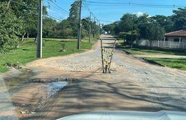 Lamentable estado de la calle Paseo de Fátima
