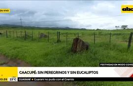 Caacupé: sin peregrinos y sin eucaliptos
