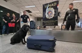 "Rocky" el agente canino de la Senad, logró incautar cocaína en el aeropuerto Silvio Pettirossi.