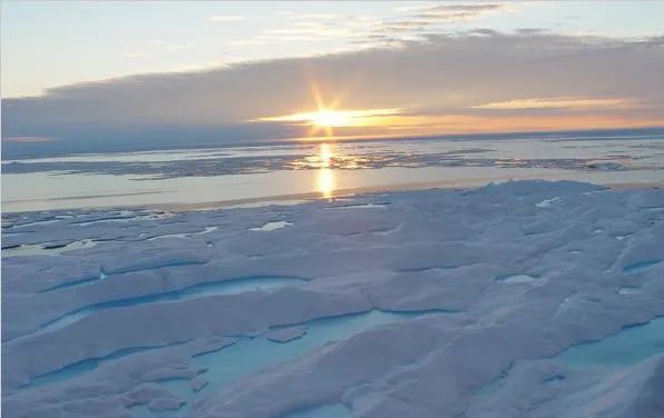Los investigadores han analizado muestras de agua de mar recogidas durante la expedición 'Tara Oceans Polar Circle', el último muestreo de la expedición Tara Oceans (2009-2013), que recorrió varias regiones oceánicas árticas durante siete meses.