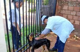 veterinarios-del-centro-antirrabico-nacional-realizaron-inmunizacion-canina-y-felina-en-el-barrio-santo-tomas--222057000000-1044532.jpg