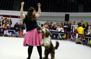 el-dog-dancing-no-tiene-reglas-fijas-o-movimientos-obligatorios-y-la-coreografia-es-libre--92538000000-1565736.jpg