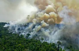 Un área en llamas en la selva del Amazonas, en el estado brasileño de Pará, en agosto.
