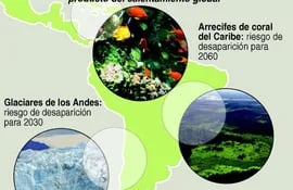 esta-infografia-de-la-afp-ilustra-los-impactos-del-cambio-climatico-en-sudamerica-en-paris-buscaran-un-acuerdo--195558000000-1402353.jpg