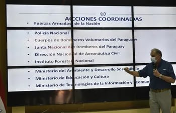 Para Joaquín Roa, ministro de la SEN, se deben actualizar ciertas normas ambientales que podrían frenar la ola de incendios.
