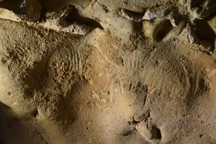 Unas marcas no figurativas realizadas con las manos son los grabados rupestres más antiguos conocidos obra de neandertales. Con una antigüedad de más de 57.000 años se han encontrado en una cueva de Francia y se hicieron antes de que el Homo sapiens entrara en la región. La cueva de la Roche-Cotard, en el centro de Francia, presenta unas marcas no figurativas en la pared, que se interpretan como aleteos, hechas por manos humanas, según un estudio que publica hoy Plos One. EFE