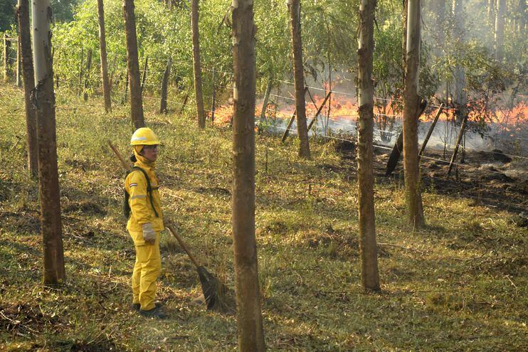Los incendios forestales y pastizales mantiene en zozobra a la comunidad nepomucena
