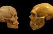Cráneo de Homo Sapiens (izquierda), frente a otro de neandertal. Imagen de archivo, HAIRYMUSEUMMATT.