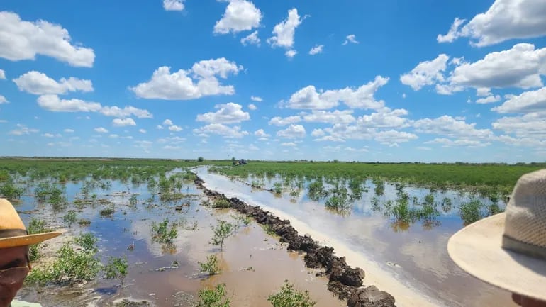 El río Pilcomayo está metiendo aguas bajas en la zona del estero Patiño. Foto gentileza del Dr. Manuel Cardozo.