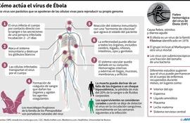 Ébola. Infografía.