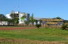 fabrica-de-alcohol-procesara-unas-100-000-toneladas-de-cana-dulce-220102000000-572414.jpg