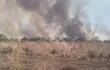 El incendio generado a inicios de semana en el territorio indígena de los ayoreos arrasó con una parte de la reserva boscosa del lugar