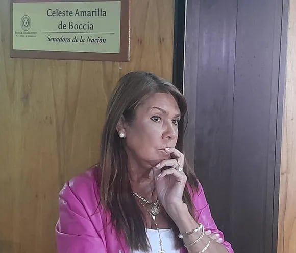 La senadora Celeste Amarilla (PLRA) advirtió que se está volviendo a la misma "soberbia de poder", que se tenía durante el stronismo.