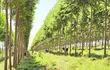 sostenibilidad-agropecuaria-y-ambiental-100430000000-1516211.JPG