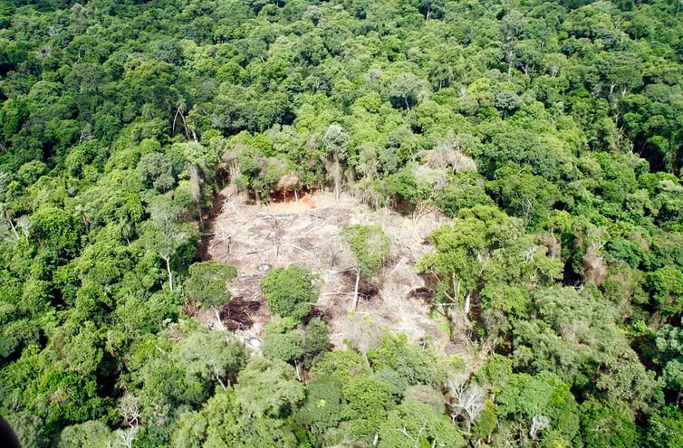 Vista aérea de la deforestación de Campos Morombí.
