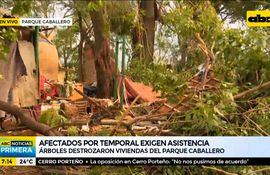Árboles destrozaron viviendas del Parque Caballero