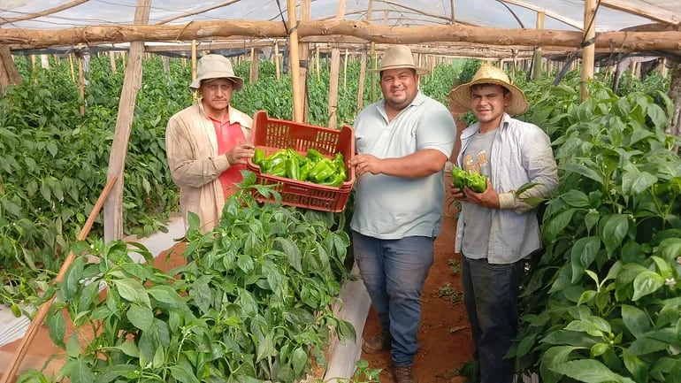 VDB Los agricultores, Wilfrido Maidana, Silvio Riveros y Dionicio Gonzalez, mostrando sus  producción de locotes