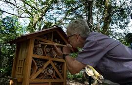 Paul Hanson, profesor de biología de la Universidad de Costa Rica, observa un "hotel" para abejas, un proyecto para proteger a las polinizadoras. (AFP)