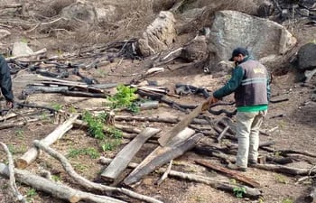 Más de dos hectáreas de bosque fue destruido presumiblemente en Ybycuí