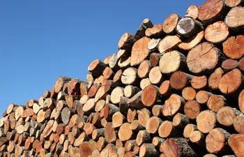 Buscan reducir el uso de biomasa (leña, carbón, y otros) en las industrias.