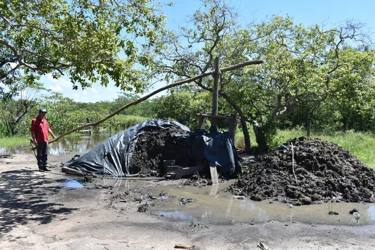 Oleros de Nueva Germania afectados por el desborde del río Aguaraymí piden apoyo para paliar las pérdidas