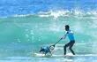 Una ola se acerca a un perro surfista y un remero en el concurso anual de surf con perros en Huntington, California.