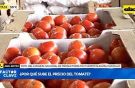 Con el levantamiento del permiso Afidis para importación, el precio del tomate nuevamente empezó a repuntar en el mercado local