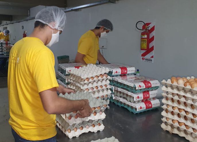 Huevos San Carlos logró posicionarse  en el sector avícola con sus diferentes presentaciones.