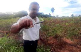 Un productor de mandioca de Yataity del Norte extrae la hoja de mandioca con el gusano en su chacra.
