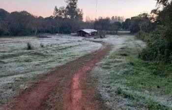 Una blanca postal describe la escarcha que se tuvo esta madrugada en Paraguarí.