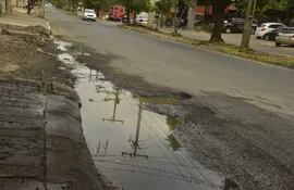 Los casi 6 km de la avenida General José Gervasio Artigas de Asunción están en pésimo estado. El MOPC se comprometió a mejorar la desastrosa vía.