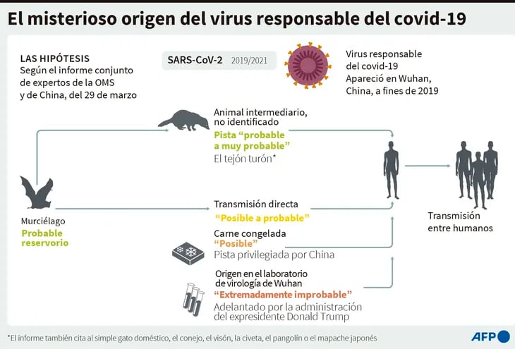EL MISTERIOSO ORIGEN DEL VIRUS RESPONSABLE DEL COVID-19
