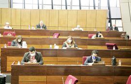 La Cámara de Diputados aprobó ayer el proyecto de ley que modifica el Fondo de Garantía que reciben las mipymes. Un grupo de diputados sesionó con dificultad de forma virtual.