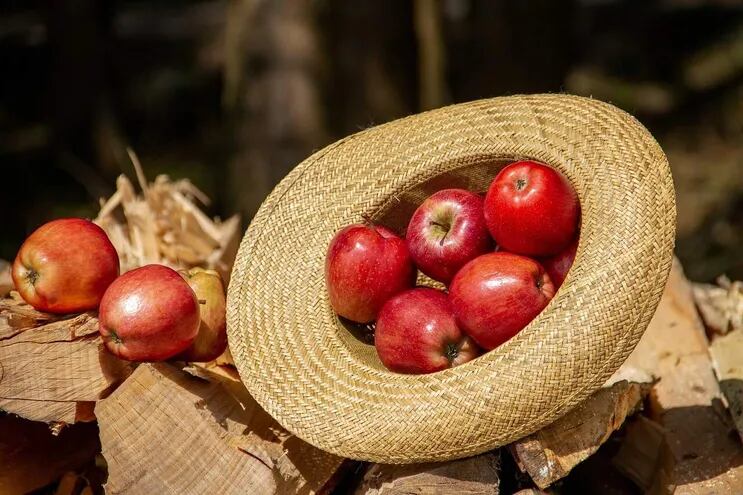 La manzana es rica en pectinas, que pueden contrarrestar el efecto dañino de los jugos gástricos y reducir la sensación de acidez.