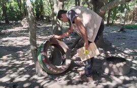 Un funcionario de Senepa verifica cuidadosamente el contenido de un neumático viejo encontrado en uno de los patios durante la tarea de limpieza