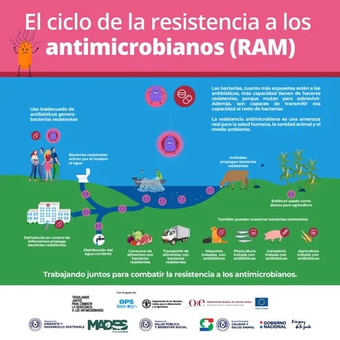 Volante de la campaña RAM, para combatir la Resistencia de Antimicrobianos, en la que participan el Senacsa y el Viceministerio de Ganadería.