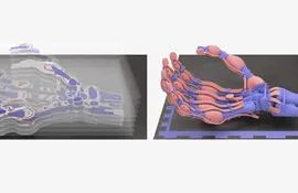 Representación de la mano robótica que es lo último y más complejo que ha logrado el científico y cofundador de la startup de Impresión 3D Inkbit, Javier Ramos.