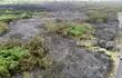 En el área de  23 hectáreas  incendiadas en el Parque Guasu Metropolitano se perdieron una gran porción de vegetación y varios ejemplares de animales silvestres.