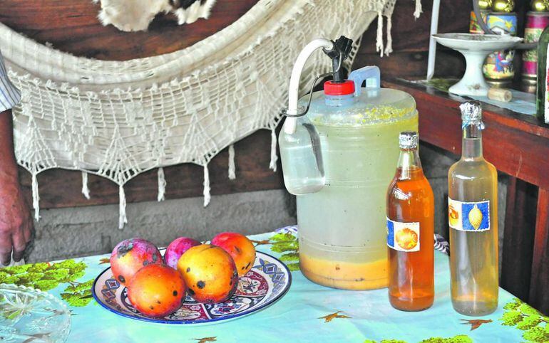 Vino De Mango Tec Neuso Plinio Ramirez Abc Rural Abc Color