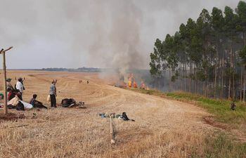 Fotografía de la Redacción Regional de ABC Color, en Alto Paraná, de la invasión campesina a la empresa agroforestal.