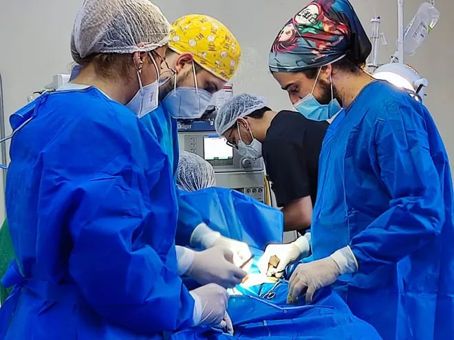 Una veintena de niños y adolescentes acceder al servicio gratuito de cirugías en el Hospital  Regional de Paraguarí.
