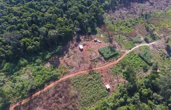 el-sobrevuelo-confirmo-la-deforestacion-en-la-reserva-privada--210634000000-1704660.jpg