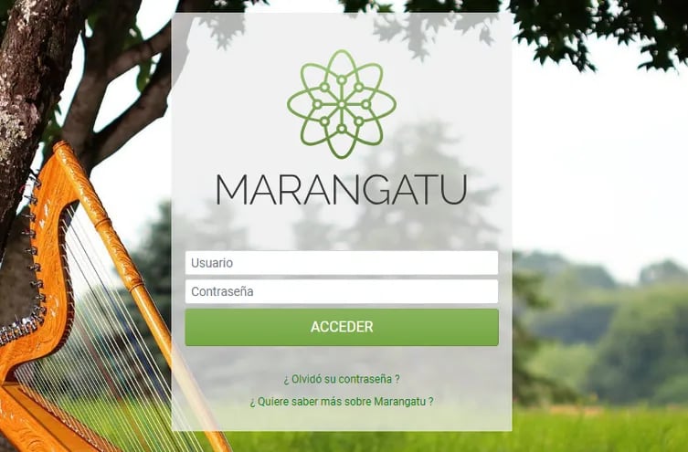 Contadores reportan que aún no están disponibles formularios en el sistema Marangatu, por lo que solicitan plazo para presentación sin multas
