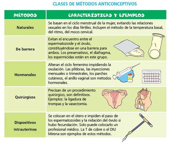 reproduccion en humanos fotos